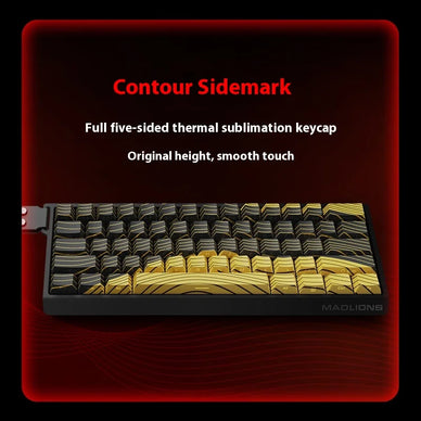 Transform Your Gameplay, Unleash Your Potential